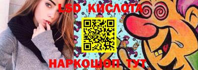 индика Камышлов
