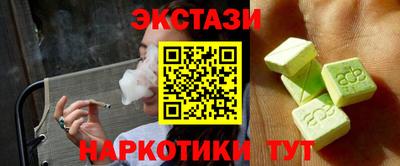 индика Камышлов