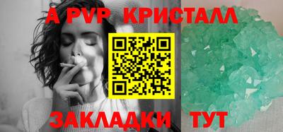 индика Камышлов