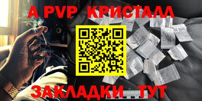 индика Камышлов