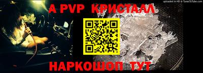 индика Камышлов