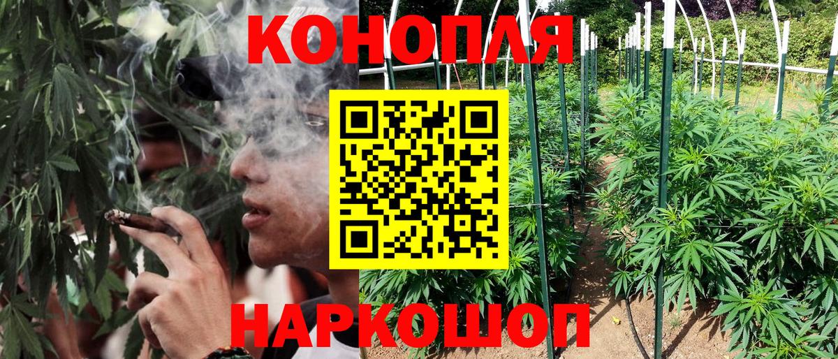 Конопля тримм Людиново